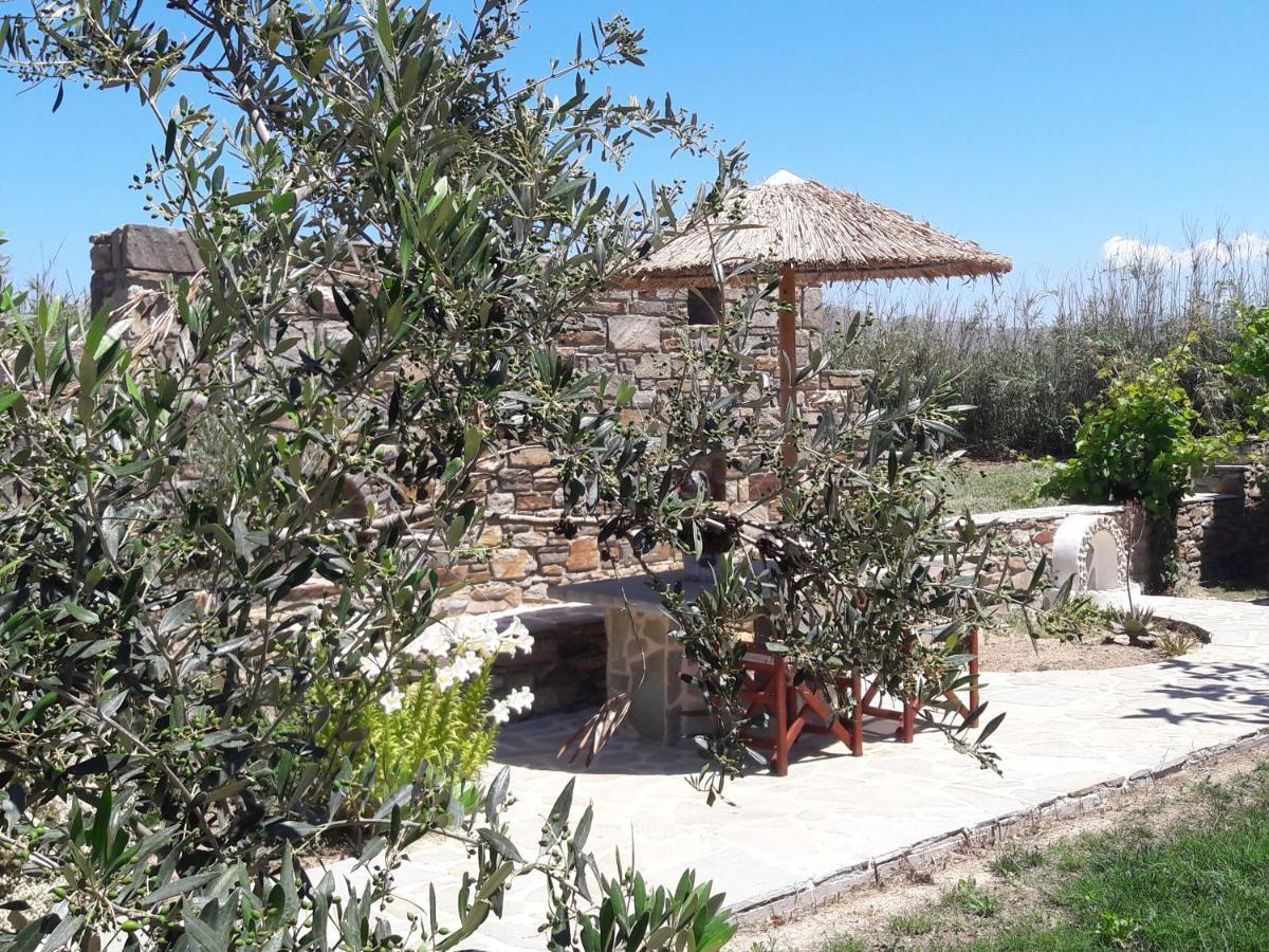 Elpidas Studios Agia Anna  Esterno foto