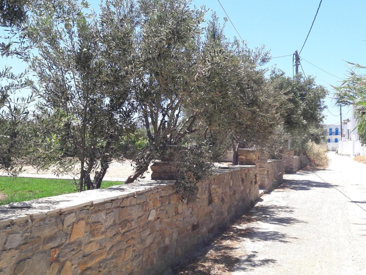 Elpidas Studios Agia Anna  Esterno foto