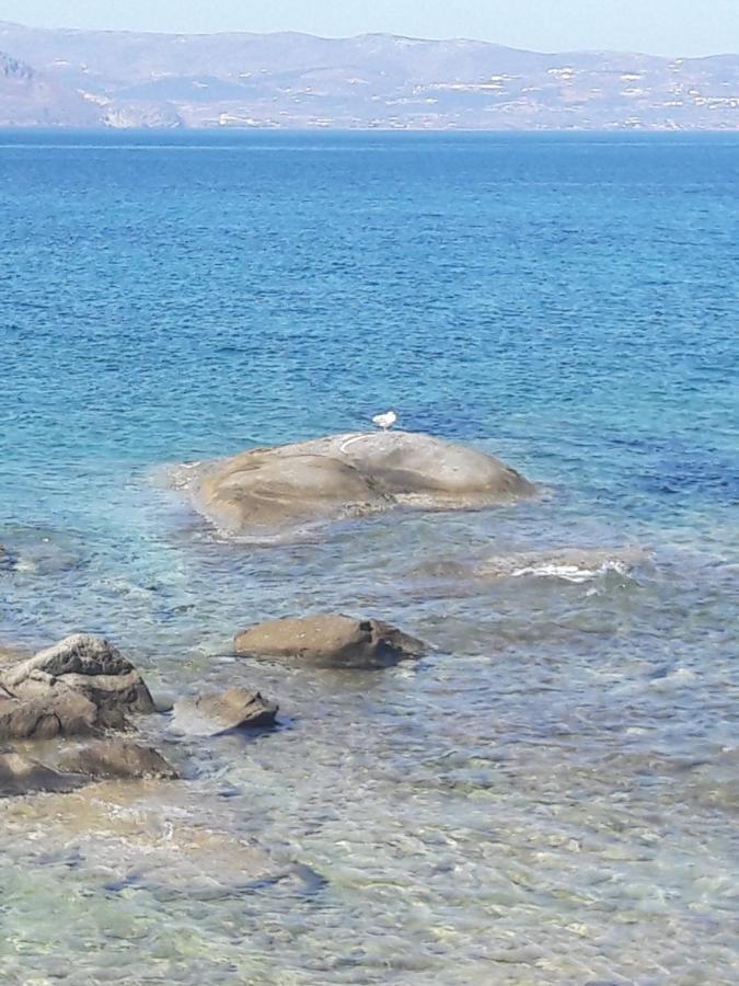 Elpidas Studios Agia Anna  Esterno foto