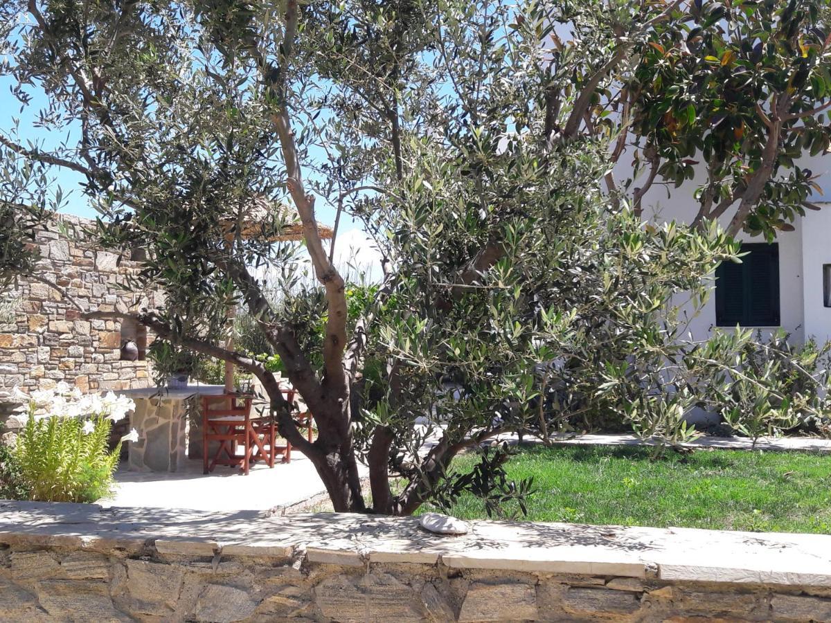 Elpidas Studios Agia Anna  Esterno foto